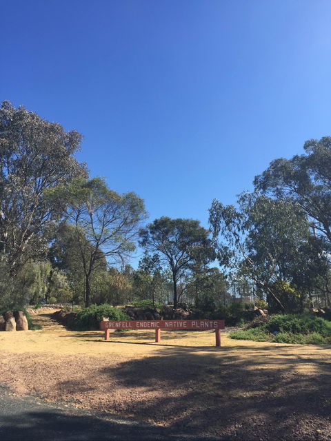 Grenfell Endemic Garden - Accommodation Brunswick Heads 0