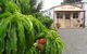 Gully Gardens - thumb 0