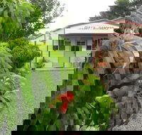 Gully Gardens - Accommodation Brunswick Heads