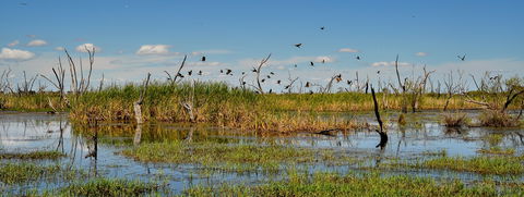 Gwydir Wetlands Moree - Accommodation Brunswick Heads 1