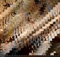 Jillabenan Cave - Accommodation Brunswick Heads