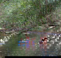 Kerewong State Forest - Accommodation Brunswick Heads