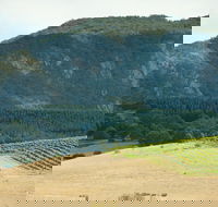 Langi Ghiran State Park - Accommodation Brunswick Heads