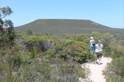 Lesueur Walk Trail, Mount Lesueur - Accommodation Brunswick Heads 0