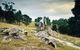 Lysterfield Park - thumb 1