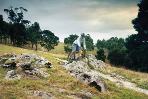 Lysterfield Park - Accommodation Brunswick Heads 1