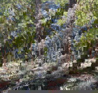 Mount Gray walking track - Accommodation Brunswick Heads