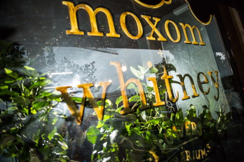 Moxom And Whitney - Accommodation Brunswick Heads 2