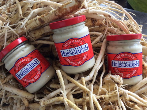 Newman's Horseradish Farm And Rusticana Wines - Accommodation Brunswick Heads 0