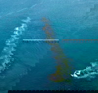 Port Noarlunga Reef Sanctuary Zone - Encounter Marine Park - Accommodation Brunswick Heads