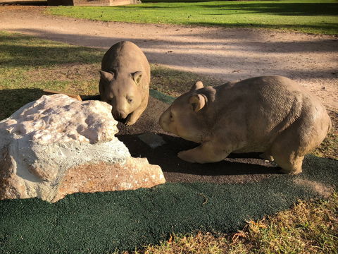 Queen Square, Moonta - Accommodation Brunswick Heads 1