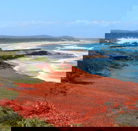 Red Cliff - Accommodation Brunswick Heads