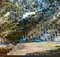 River Walk Boonoo Boonoo National Park - Accommodation Brunswick Heads