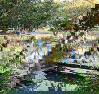 Rockhampton Botanic Gardens - Accommodation Brunswick Heads