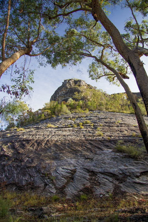 Salvator Rosa, Carnarvon National Park - Accommodation Brunswick Heads 1