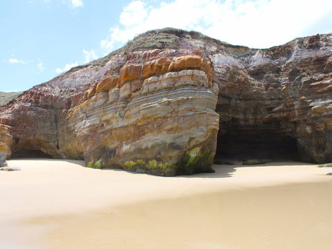 Shelley Caves - Accommodation Brunswick Heads 0