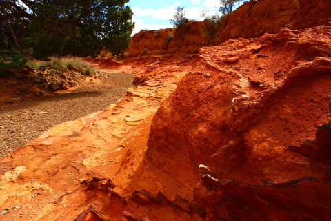 Skytrek - Accommodation Brunswick Heads 1
