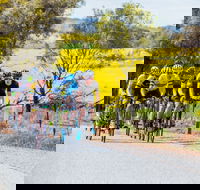 The Heron's Highway - Avon River Cycle Trail - Accommodation Brunswick Heads