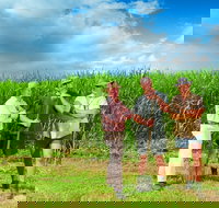 The Shed Gallery - Accommodation Brunswick Heads