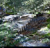 Towarri National Park - Accommodation Brunswick Heads