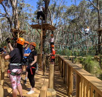 Trees Adventure - Yanchep Park - Accommodation Brunswick Heads