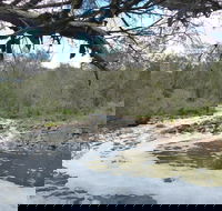 Walyunga National Park - Accommodation Brunswick Heads