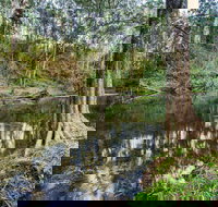 Woko National Park - Accommodation Brunswick Heads