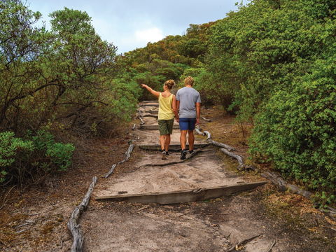 Woody Island Nature Reserve - Accommodation Brunswick Heads 2