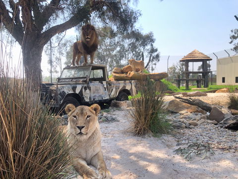 Zambi Wildlife Retreat - Accommodation Brunswick Heads 0