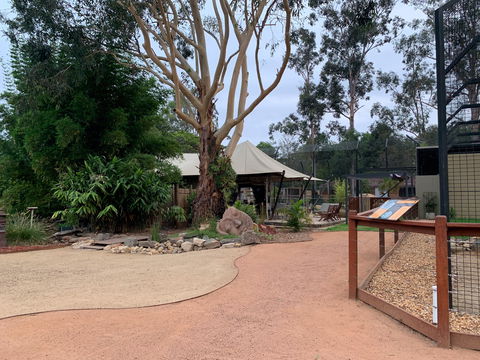 Zambi Wildlife Retreat - Accommodation Brunswick Heads 2