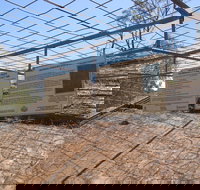 Aboriginal Carvings - Accommodation Brunswick Heads