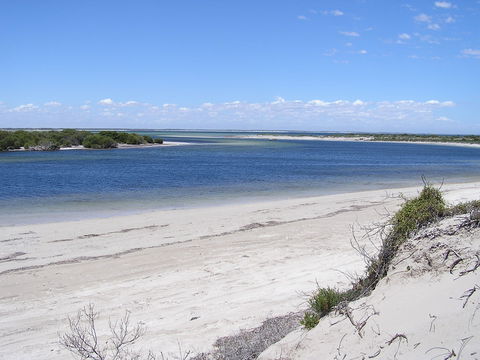 Acraman Creek Conservation Park - Accommodation Brunswick Heads 0