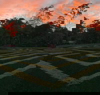 Bellingham Maze - Accommodation Brunswick Heads