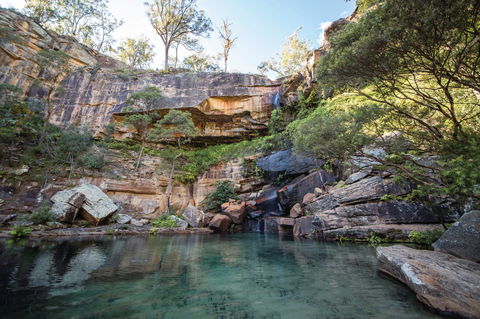 Blackdown Tableland National Park - Accommodation Brunswick Heads 1