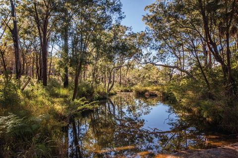 Blackdown Tableland National Park - Accommodation Brunswick Heads 2