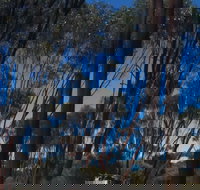 Boorabbin National Park - Accommodation Brunswick Heads