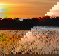 Bool Lagoon Game Reserve and Hacks Lagoon Conservation Park - Accommodation Brunswick Heads