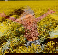 Canola Trail - Accommodation Brunswick Heads