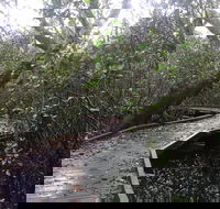 Carole Green Walkway - John Oxley Reserve - Accommodation Brunswick Heads