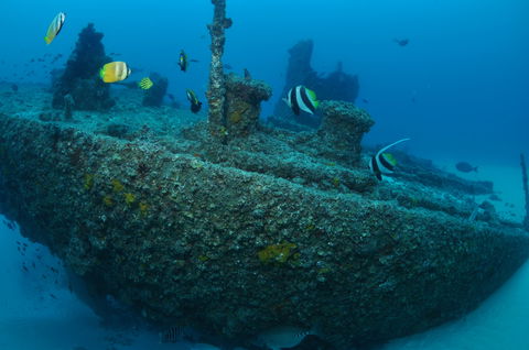 Curtin Artificial Reef Dive Site - Accommodation Brunswick Heads 1