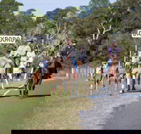 Dayboro - Accommodation Brunswick Heads