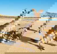 Diamond Head Beach - Accommodation Brunswick Heads