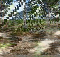 Djukbinj National Park - Accommodation Brunswick Heads