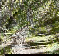 Euglah Rock Walking Track - Accommodation Brunswick Heads