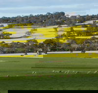 Fini Olives - Accommodation Brunswick Heads
