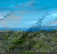 Forest Walking Track Crowdy Bay National Park - Accommodation Brunswick Heads