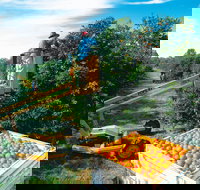 Gayndah's Big Orange - Accommodation Brunswick Heads