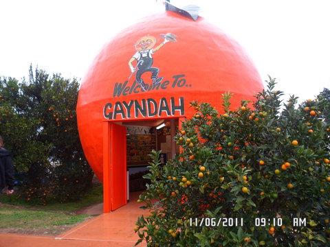 Gayndah's Big Orange - Accommodation Brunswick Heads 2