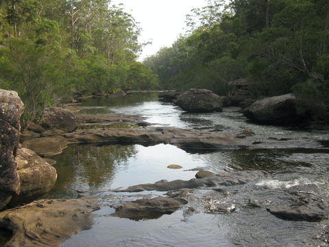 Georges River Nature Reserve - Accommodation Brunswick Heads 2