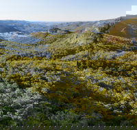 Gold Coast Hinterland Great Walk - Accommodation Brunswick Heads